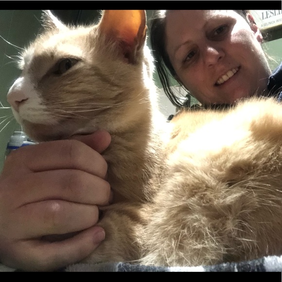 Meet your Posher, Martha - Picture 1 of 1